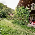 Ferma Albanik