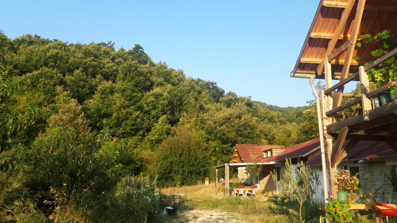 Ferma Albanik Guest house