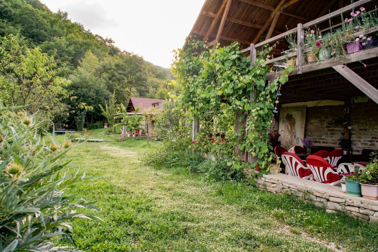 Ferma Albanik Guest house
