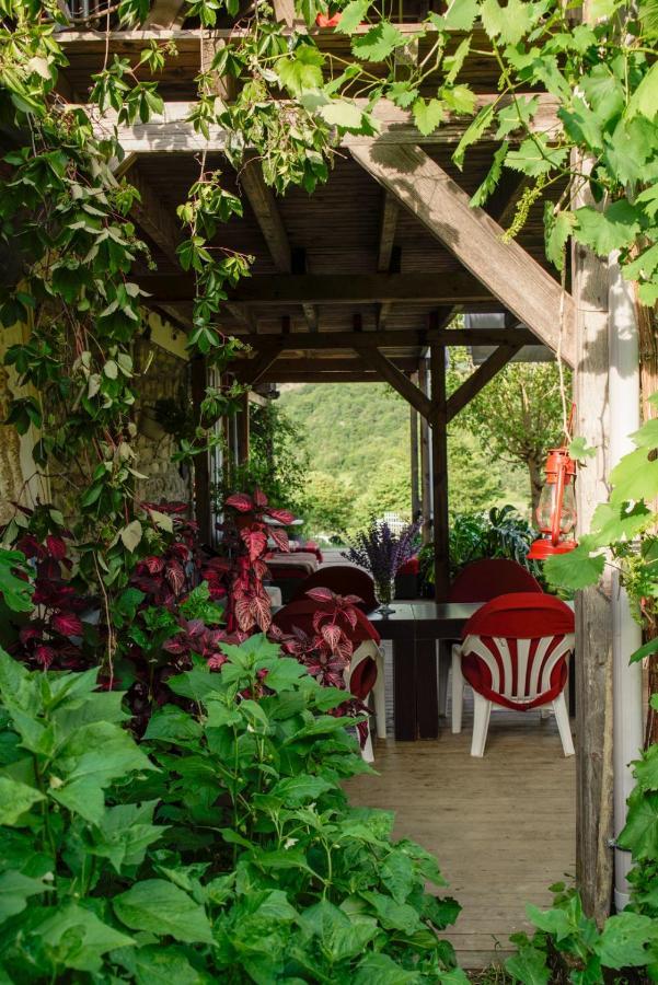 Guest house Ferma Albanik Kelcyre